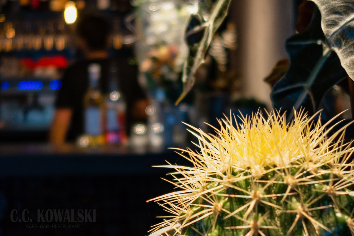 C.C. Kowalski – Cafe ⦁ Bar ⦁ Restaurant